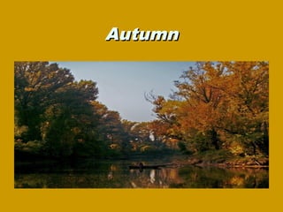 Autumn
 