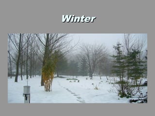 Winter
 