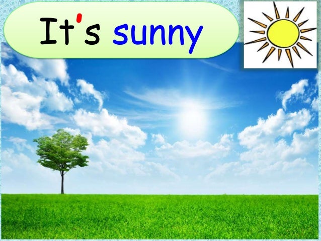 What S The Weather Like