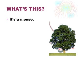 WHAT’S THIS? It’s a mouse. 