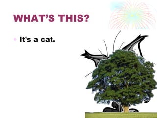 WHAT’S THIS? It’s a cat. 