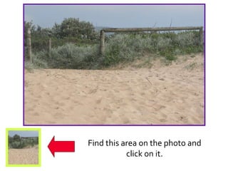 Find this area on the photo and click on it.
