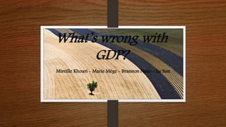 What’s wrong with
GDP?
Mireille Khouri - Marie Mège - Brannon Naito - Lu Sun
 