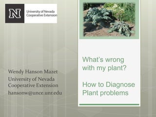What’s wrong
with my plant?
How to Diagnose
Plant problems
Wendy Hanson Mazet
University of Nevada
Cooperative Extension
hansonw@unce.unr.edu
 