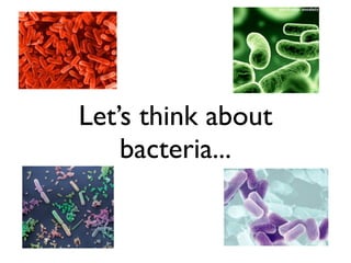 Let’s think about
    bacteria...
 