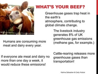 WHAT’S YOUR BEEF?
Katrina Sebastian & Carly Hodosi
Greenhouse gases trap heat in
the earth’s
atmosphere, contributing to
global climate change.
The livestock industry
generates 8% of UK
greenhouse gas emissions
(methane gas, for example.)
Cattle-rearing releases more
greenhouse gases than
transportation!
Humans are consuming more
meat and dairy every year.
If everyone ate meat and dairy no
more than one day a week, it
would reduce these emissions!
 
