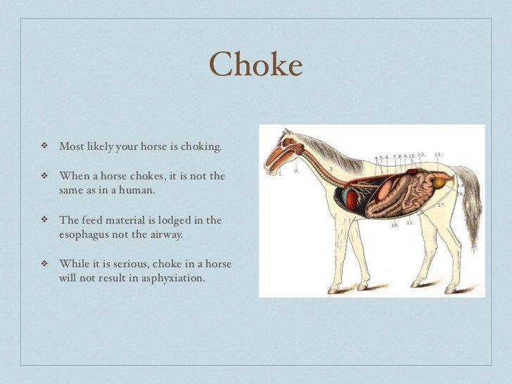 What's your diagnosis? 2