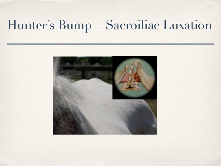 What's your diagnosis? 3