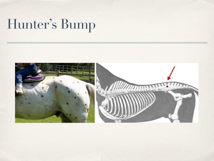 What's your diagnosis? 3