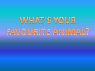 What’s your favourite animal