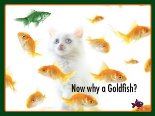 Now why a Goldﬁsh?

 