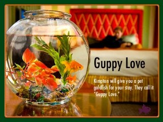 GIVE A LITTLE UNEXPECTED EXTRA
Guppy Love
Kimpton will give you a pet
goldﬁsh for your stay. They call it
“Guppy Love.”
 