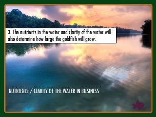 NUTRIENTS / CLARITY OF THE WATER IN BUSINESS
= ____
3. The nutrients in the water and clarity of the water will
also determine how large the goldﬁsh will grow.
 