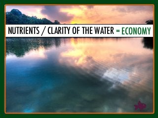 NUTRIENTS / CLARITY OF THE WATER
= ECONOMY
 
