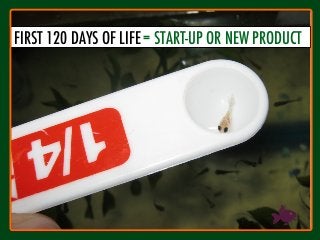 4
2
FIRST 120 DAYS OF LIFE
= START-UP OR NEW PRODUCT
 