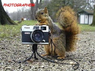 Of course... PHOTOGRAPHER! 