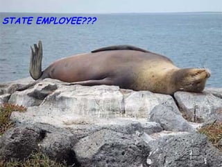 STATE EMPLOYEE??? 