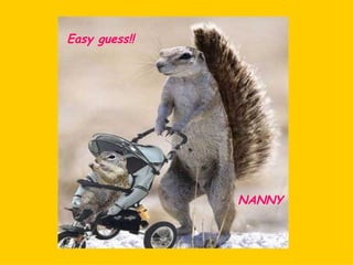Easy guess!! NANNY 