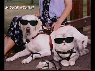 MOVIE STARS! 