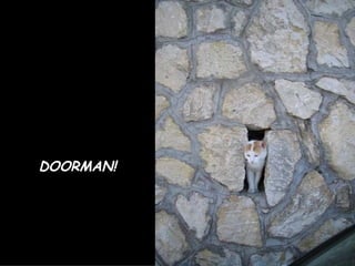 DOORMAN! 