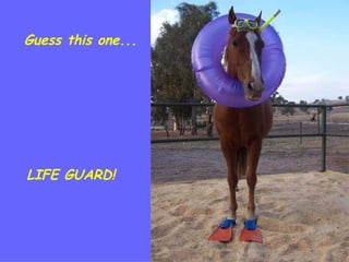 Guess this one... LIFE GUARD! 