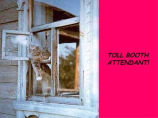 TOLL BOOTH ATTENDANT! 