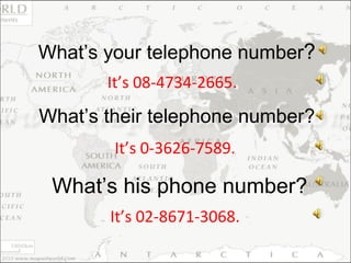 It’s 08-4734-2665. What’s your telephone number ? It’s 0-3626-7589. What’s their telephone number? It’s 02-8671-3068. What’s his phone number? 