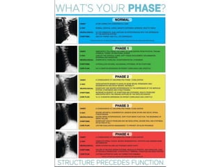 Whats Your Phase