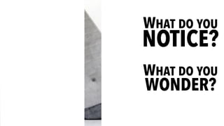 WHAT DO YOU
NOTICE?
WHAT DO YOU
WONDER?
 