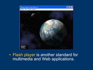 Flash player  is another standard for multimedia and Web applications. 