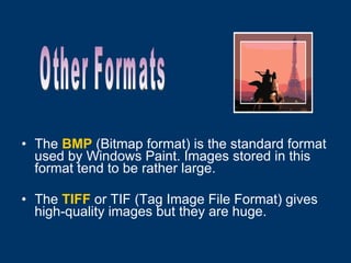 The   BMP  (Bitmap format) is the standard format used by Windows Paint. Images stored in this format tend to be rather large. The   TIFF  or TIF (Tag Image File Format) gives high-quality images but they are huge. Other Formats 
