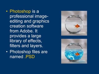 Photoshop  is a professional image-editing and graphics creation software from Adobe. It provides a large library of effects, filters and layers. Photoshop files are named   .PSD 