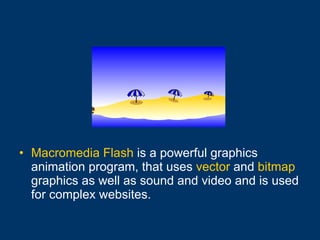 Macromedia Flash  is a powerful graphics animation program, that uses  vector  and  bitmap  graphics as well as sound and video and is used for complex websites. 