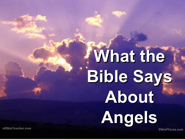 What the Bible Says About Angels