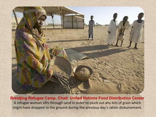 Breidjing Refugee Camp, Chad: United Nations Food Distribution CenterA refugee woman sifts through sand in order to pluck out any bits of grain which might have dropped to the ground during the previous day's ration disbursement.