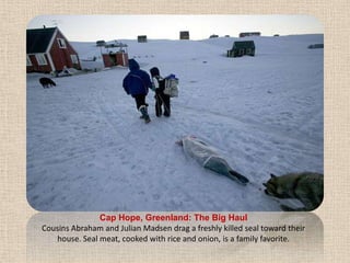 Cap Hope, Greenland: The Big HaulCousins Abraham and Julian Madsen drag a freshly killed seal toward their house. Seal meat, cooked with rice and onion, is a family favorite.