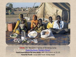Chad: The Aboubakar family of Breidjing Camp From the Book, "Hungry Planet" Food expenditure for one week: 685 CFA Francs or $1.23Favorite foods: soup with fresh sheep meat