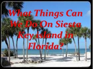 What Things Can
We Do On Siesta
Key island in
Florida?

 