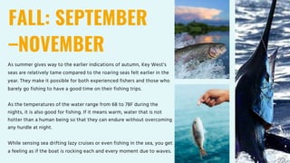 FALL: SEPTEMBER
–NOVEMBER
As summer gives way to the earlier indications of autumn, Key West’s
seas are relatively tame compared to the roaring seas felt earlier in the
year. They make it possible for both experienced fishers and those who
barely go fishing to have a good time on their fishing trips.
As the temperatures of the water range from 68 to 78F during the
nights, it is also good for fishing. If it means warm, water that is not
hotter than a human being so that they can endure without overcoming
any hurdle at night.
While sensing sea drifting lazy cruises or even fishing in the sea, you get
a feeling as if the boat is rocking each and every moment due to waves.
 