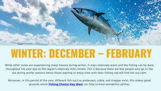 WINTER: DECEMBER – FEBRUARY
While other zones are experiencing sharp freezes during winter, it stays relatively warm and the fishing can be done
throughout the year due to the region’s relatively mild climate. This is because there are few people who go to the
sea during winter seasons hence those aspiring to enjoy time with their fishing rod will find the sea calm.
Moreover, in this period of the year, different fish such as amberjack, cobia, and snapper exist, this makes good
grounds which Fishing Charter Key West can help to have wonderful catches.
 