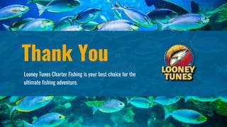 Thank You
Looney Tunes Charter Fishing is your best choice for the
ultimate fishing adventure.
 
