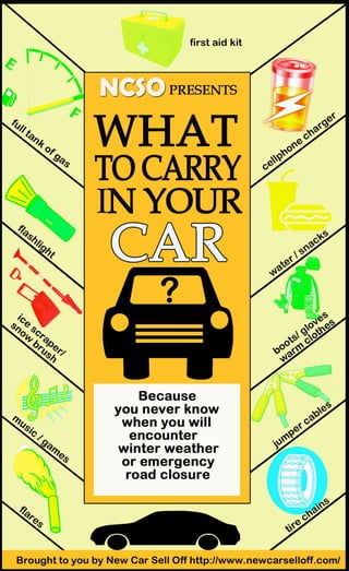 Infographic: What to carry in your Car