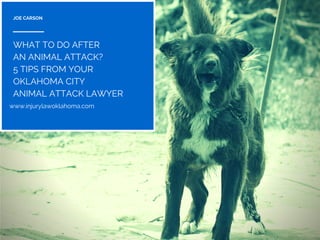 JOE CARSON
www.injurylawoklahoma.com
WHAT TO DO AFTER
AN ANIMAL ATTACK?
5 TIPS FROM YOUR
OKLAHOMA CITY
ANIMAL ATTACK LAWYER
 