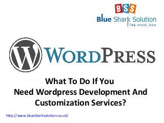 What To Do If You
Need Wordpress Development And
Customization Services?
http://www.bluesharksolution.co.uk/
 