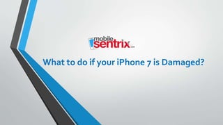 What to do if your iPhone 7 is Damaged?
 