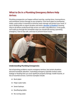 What to Do in a Plumbing Emergency Before Help Arrives.docx