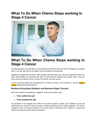 What To Do When Chemo Stops working In
Stage 4 Cancer




What To Do When Chemo Stops working In
Stage 4 Cancer
Avoiding apoptosis, the naturally-occurring method by which the body rids itself of damaged or unwanted
cells, is one way that cancer and stage 4 cancer develops and progresses.

Apoptosis is triggered by cell stress, DNA damage, developmental cues, and other signals from within the
body. Unfortunately, we commonly see cells in cancer patients diverting this process. And in doing so
their cancers are able to survive, continue to develop, and even spread.

In short, the body already has the equipment to rid itself of cancer; so the question is “why are stage 4
cancer patients diverting apoptosis?”

Mutations Bring About Stubborn and Resistant Stage 4 Cancers

Well, let’s consider how apoptosis is triggered. There are two basic ways:

       From within the cell
       From outside the cell

For apoptosis to be triggered from within, the process requires a protein, p53. Mutations to the p53
protein gene can cause it to become inactive, thereby preventing normal, healthy apoptosis. This type of
mutation is seen in almost 50 percent of all human cancer. Preventing such mutation is a good step
toward improving the overall results of treatment.
 