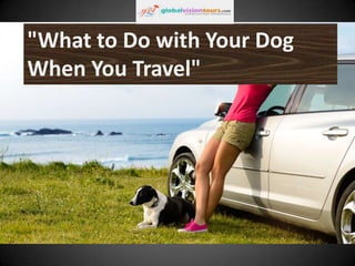 "What to Do with Your Dog
When You Travel"

 