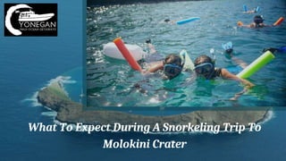 What To Expect During A Snorkeling Trip To
Molokini Crater
 