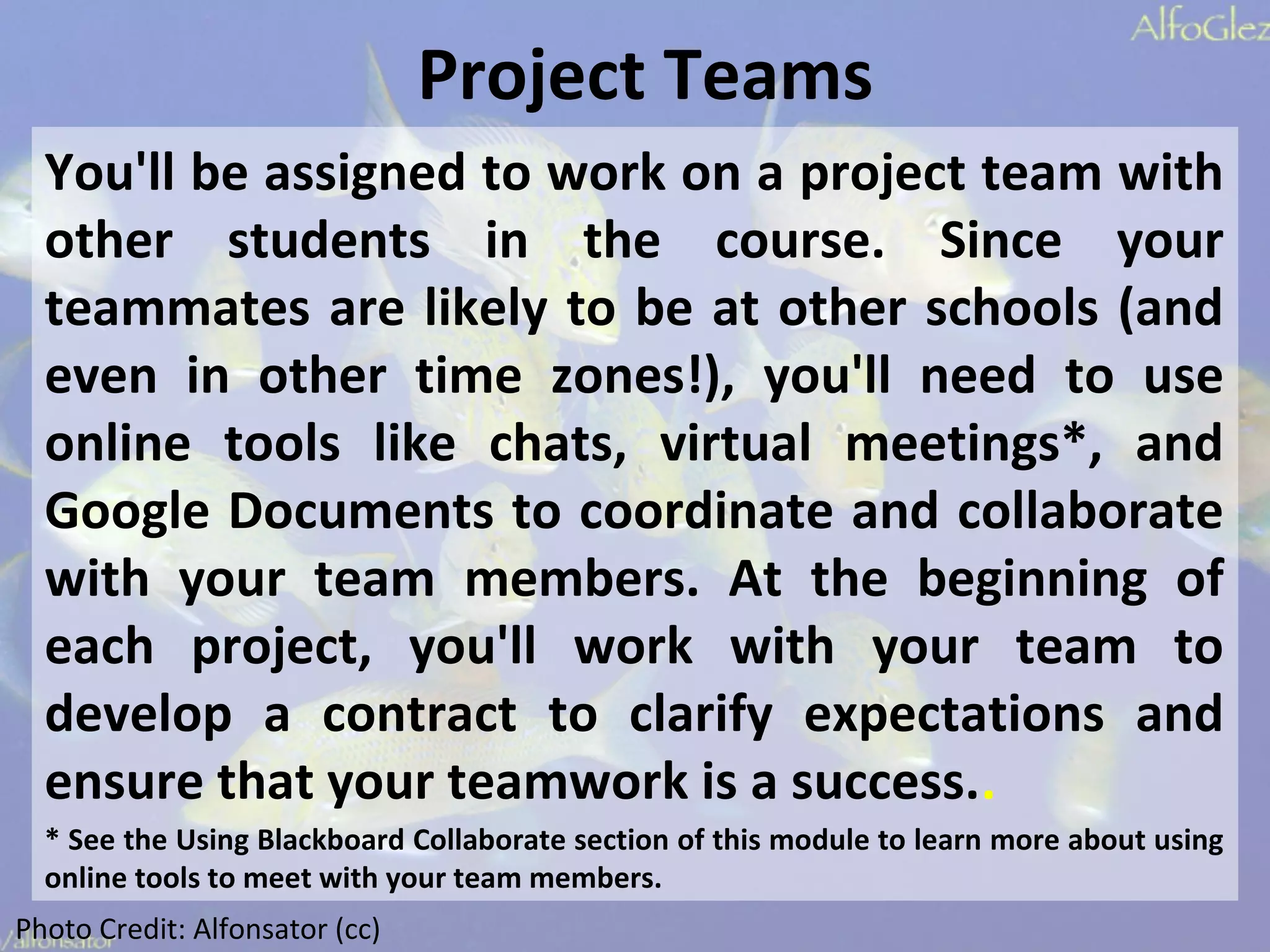 What to expect ppt | PPT